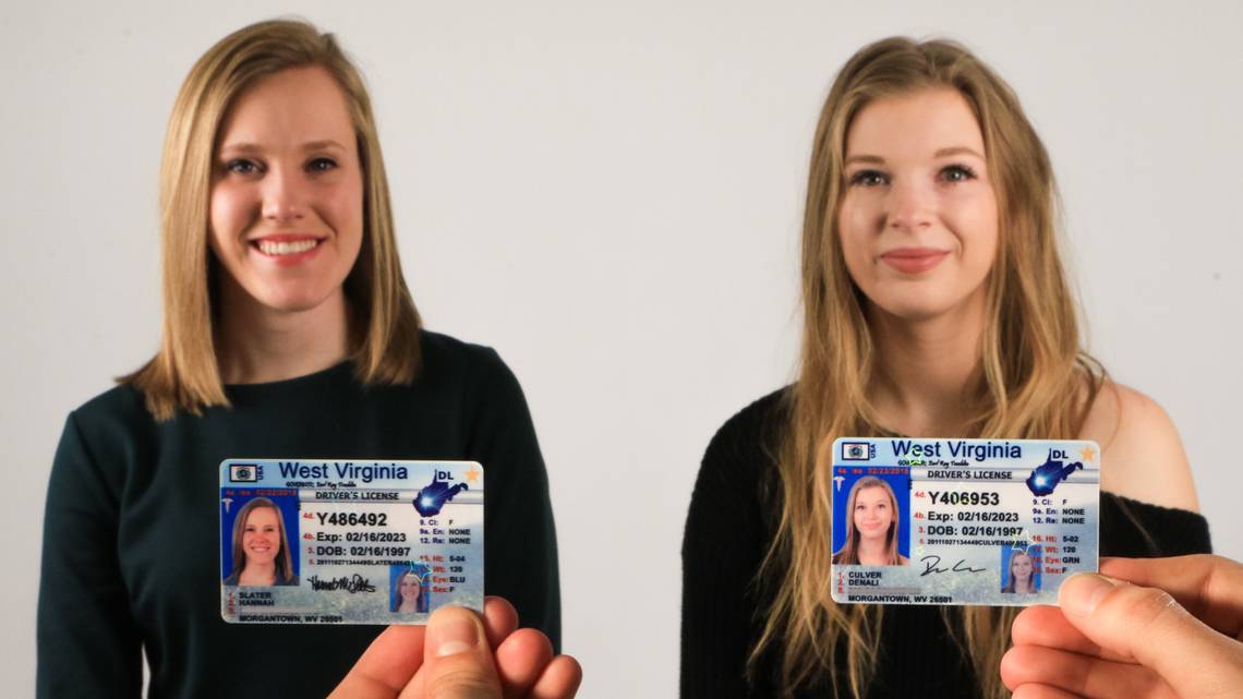 fake virginia ids